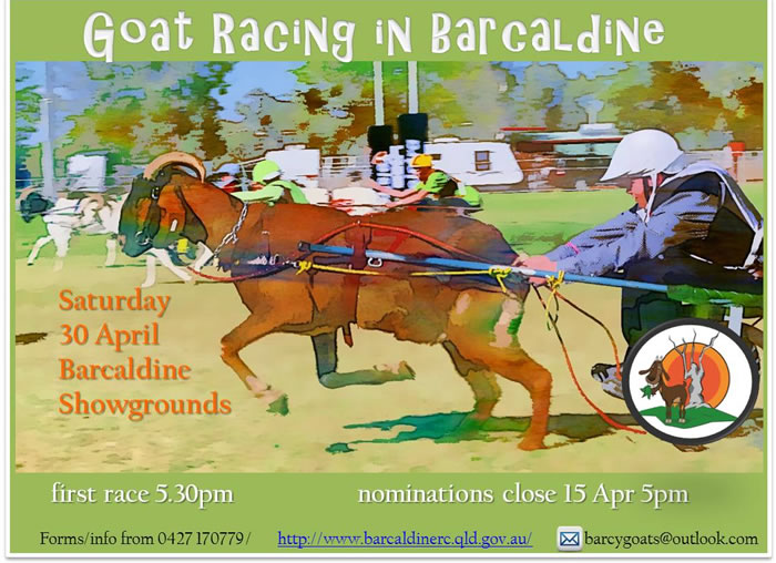 Barcaldine's Tree of Knowledge Goat Races